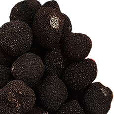 Truffes noires fraîches 50g ( petites truffes moins de 15 grammes ) - Tuber Melanosporum